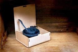 Miniatura Set Kupilka  S Premium Box